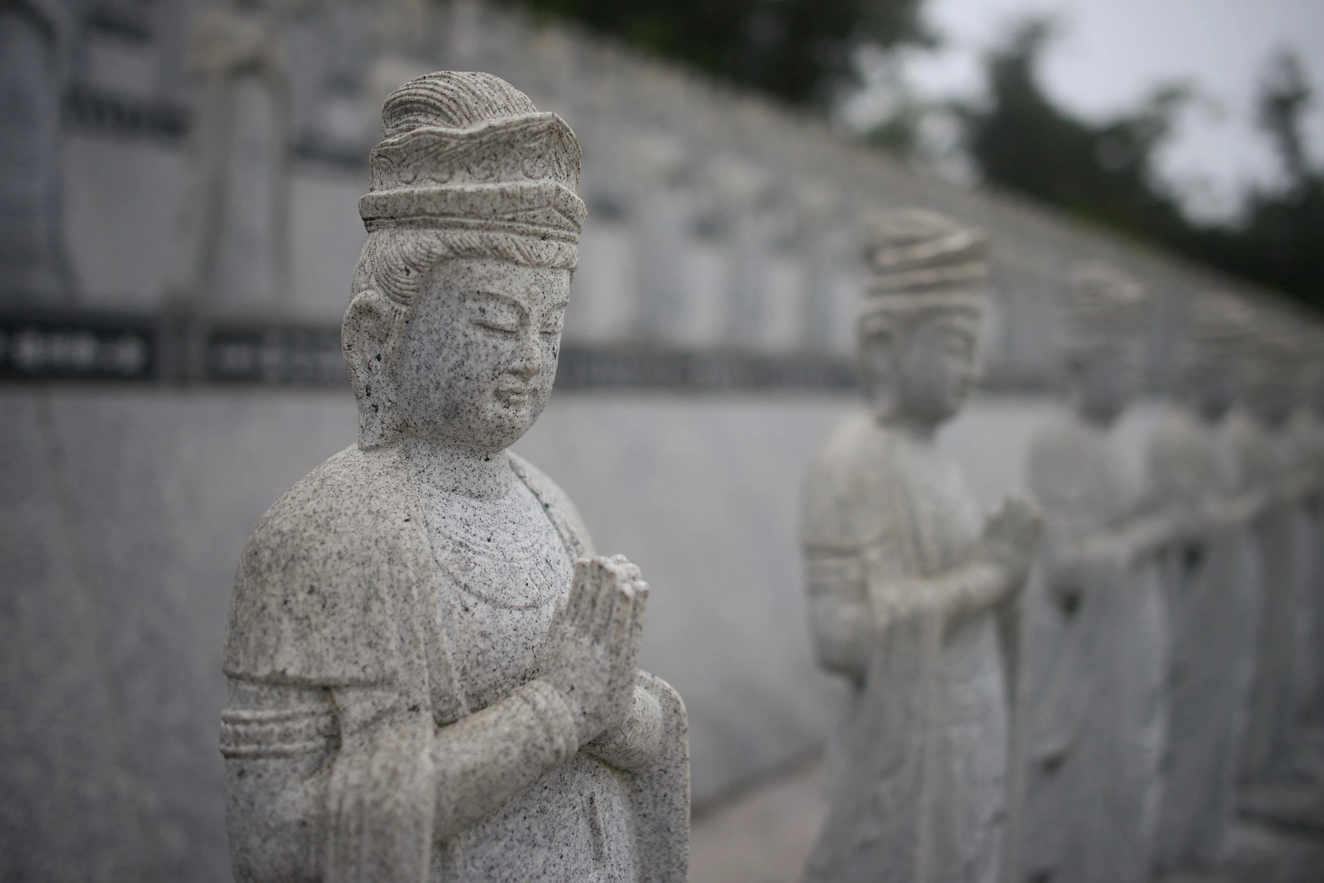 Eine Reihe grauer Buddha-Statuen vor einer Mauer.