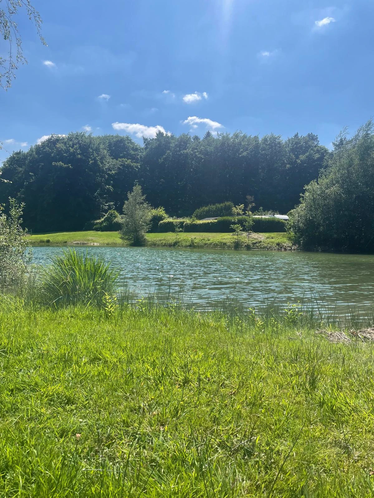Ein ruhiger See, der Achtsamkeit symbolisiert.